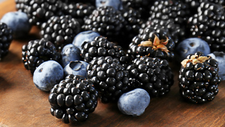Picture of Sweet Blueberries or Blackberries
