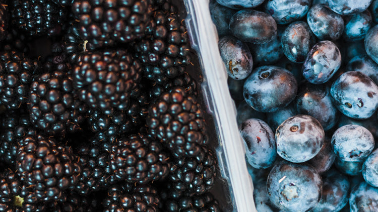 Picture of Sweet Blueberries or Blackberries