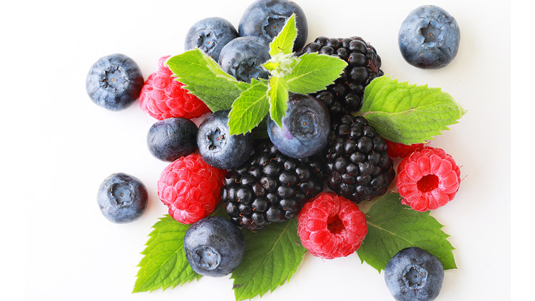 Picture of Blackberries or Red Raspberries or Blueberries