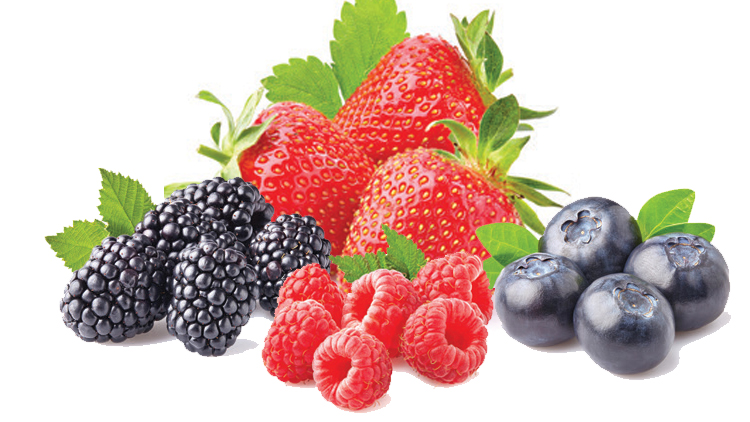 Picture of Strawberries, Blackberries, Raspberries or Blueberries