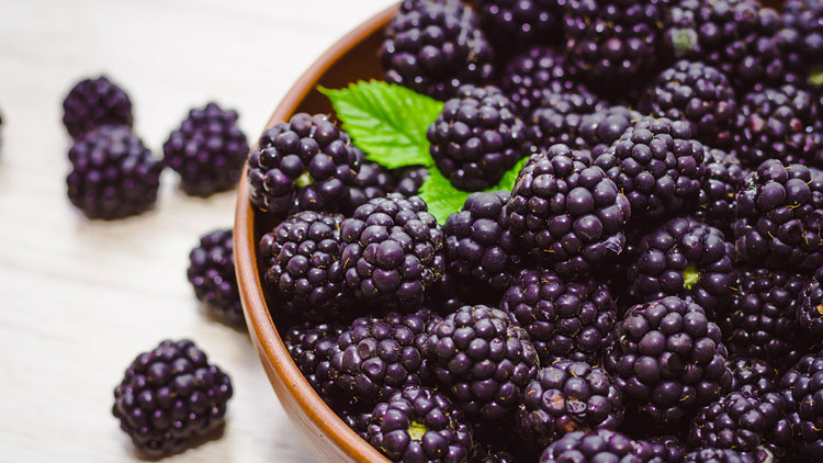Picture of Fresh Blackberries