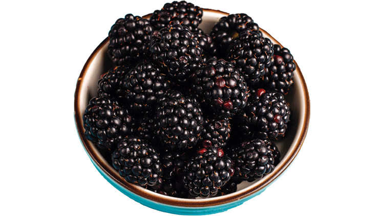 Picture of Sweet Ripe Blackberries