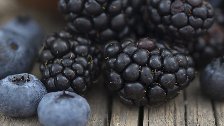 Picture of Blackberries or Blueberries