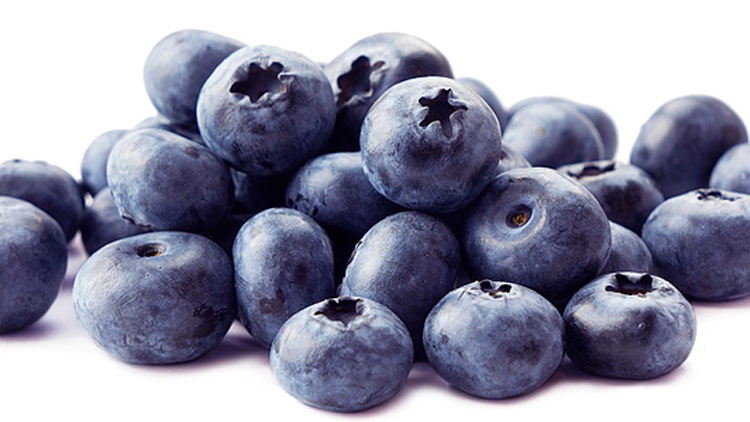 Picture of Juicy Blueberries