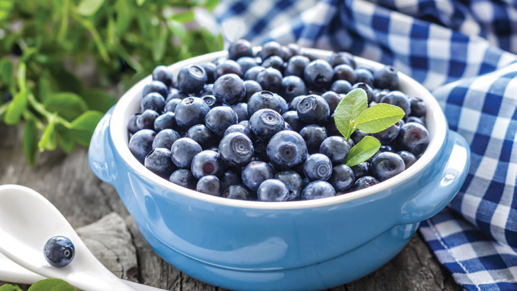 Picture of Chilean Blueberries