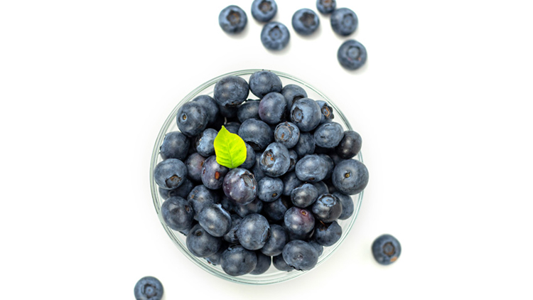 Picture of Sweet Blueberries