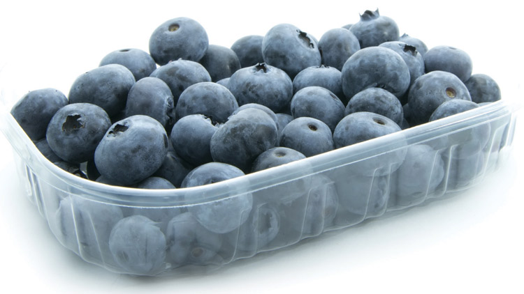 Picture of Fresh Blueberries