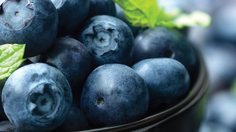 Picture of Fresh Blueberries