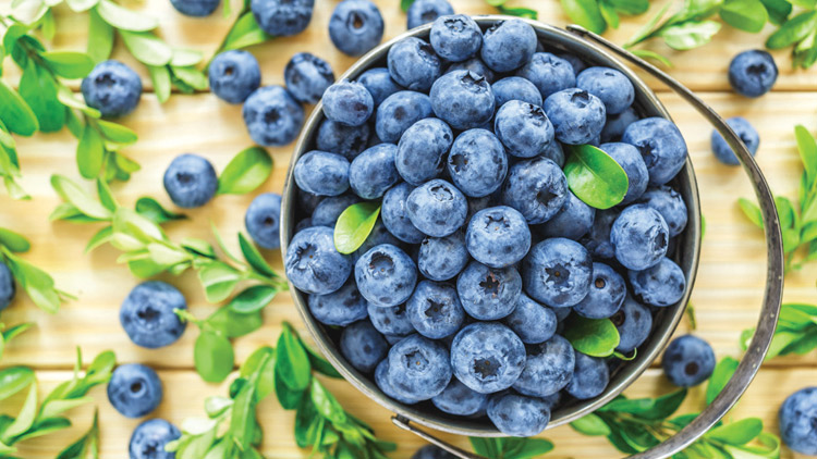 Picture of Fresh Blueberries