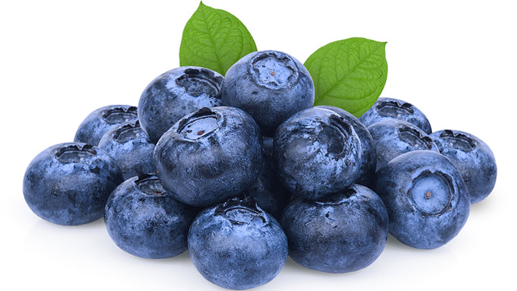 Picture of Sweet Blueberries