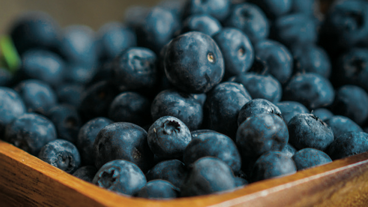 Picture of Sweet & Delicious Blueberries