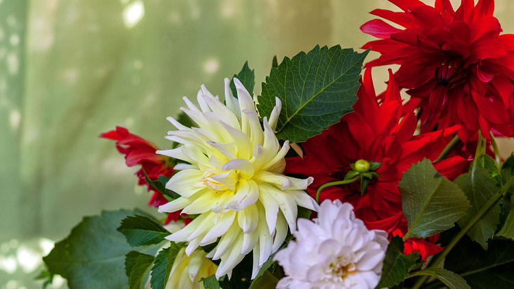 Picture of Summer Glow Bouquets