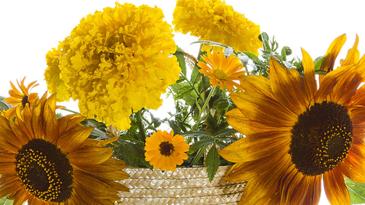 Picture of Petals of Saints Bouquet
