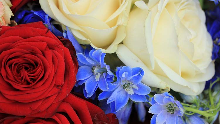Picture of Seabreeze Bouquet