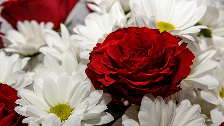 Picture of Crisp & Sweet Bouquet