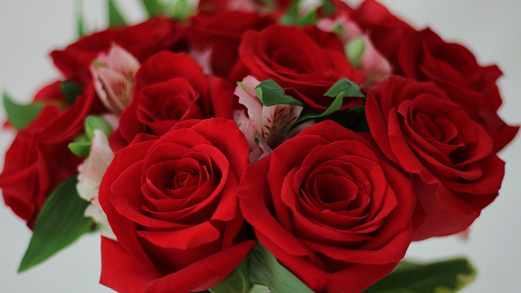 Picture of Premium Dozen Rose Vase or Mom's Vibrant Vase