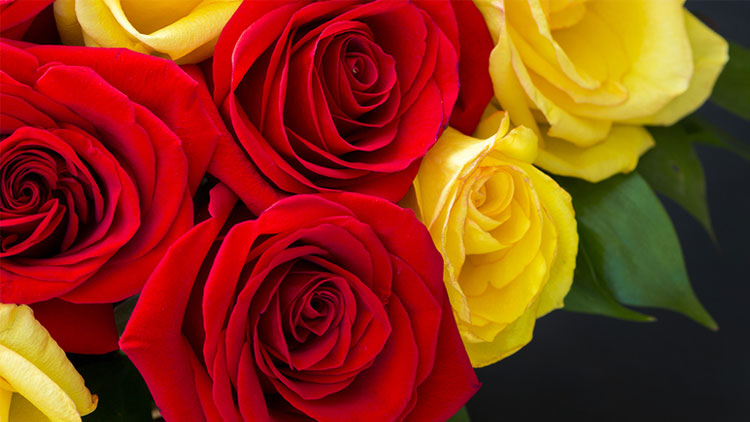 Picture of Rose Cascade Bouquet