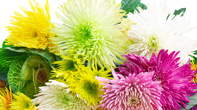 Picture of Fresh Cut Mother's Day Bouquets