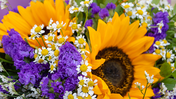 Picture of Bright Delight Bouquets