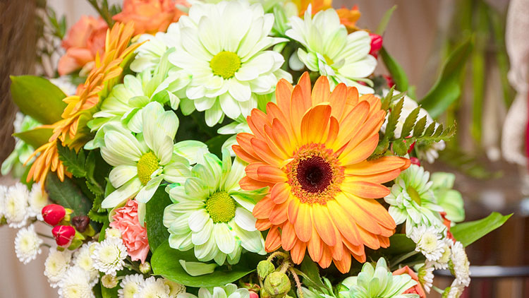Picture of Potion Party Bouquet