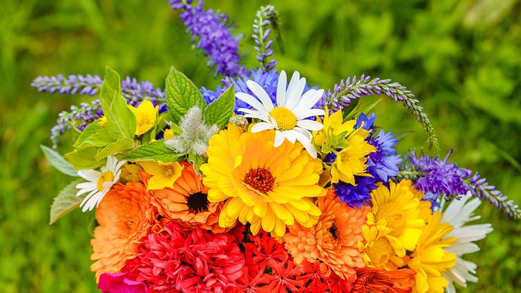 Picture of Dad's BBQ Bouquets