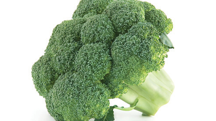 Picture of Fresh Broccoli Crowns