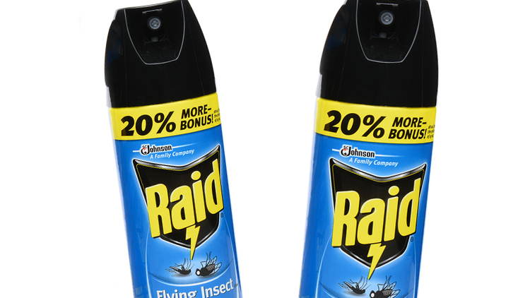 Picture of Raid Flying Insect Killer