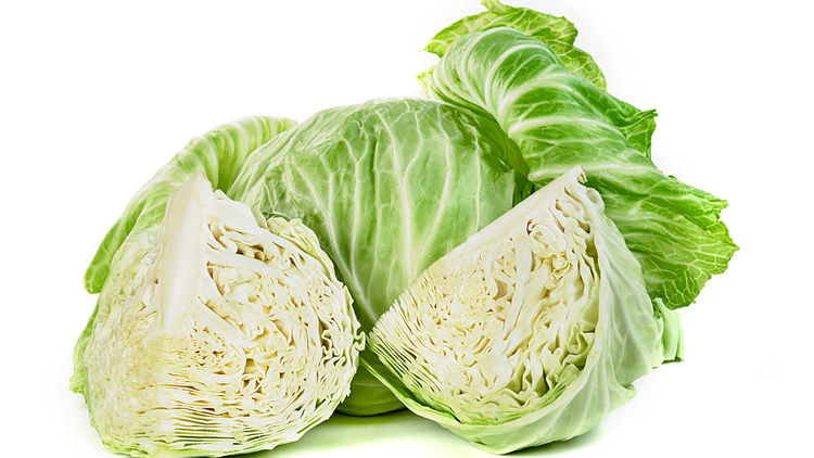 Picture of Fresh Green Cabbage