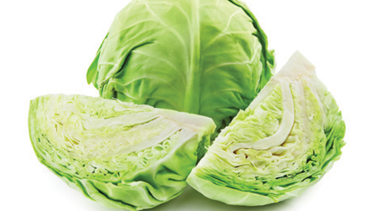 Picture of Fresh Green Cabbage