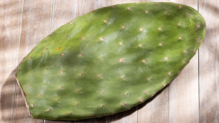 Picture of Whole Cactus Leaves