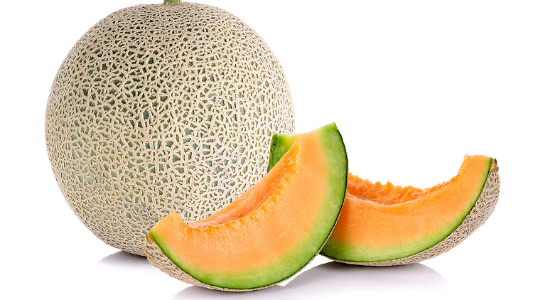 Picture of Extra Large Cantaloupe