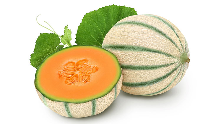 Picture of Cantaloupe Melons