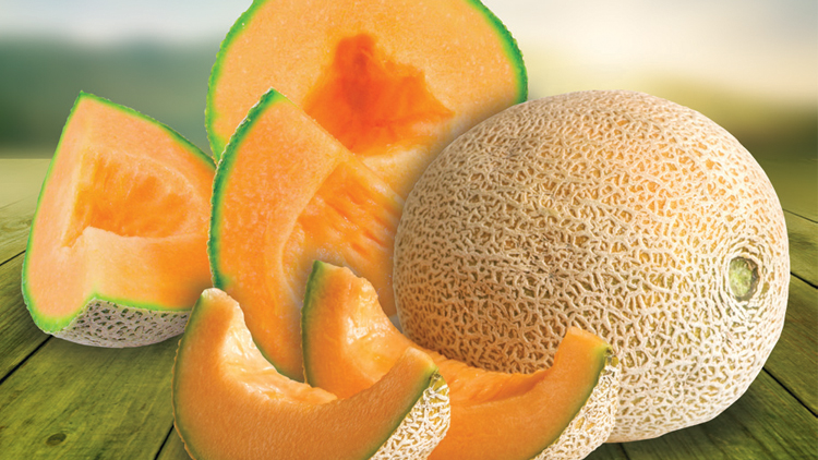 Picture of Kandy Cantaloupe