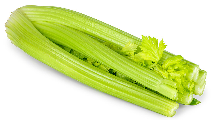 Picture of Stalk Celery