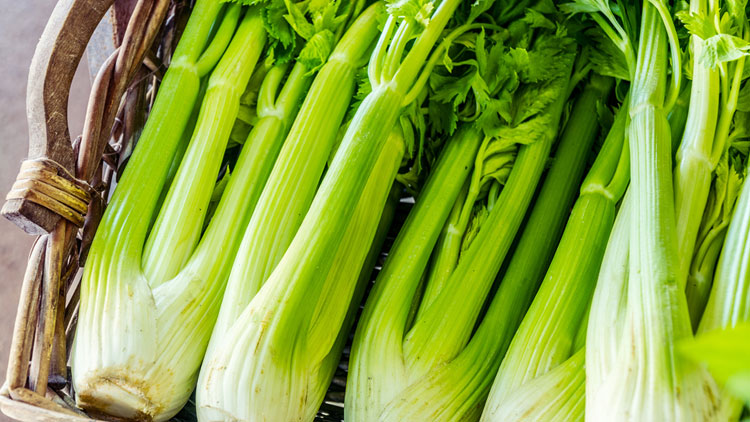 Picture of Fresh Celery