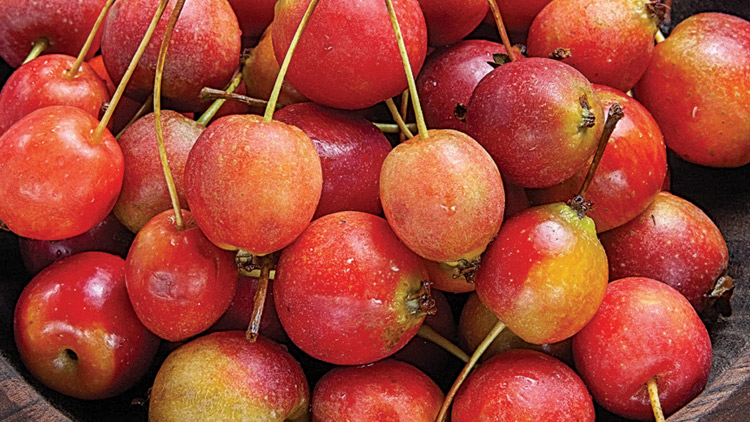 Picture of Rainier Cherries