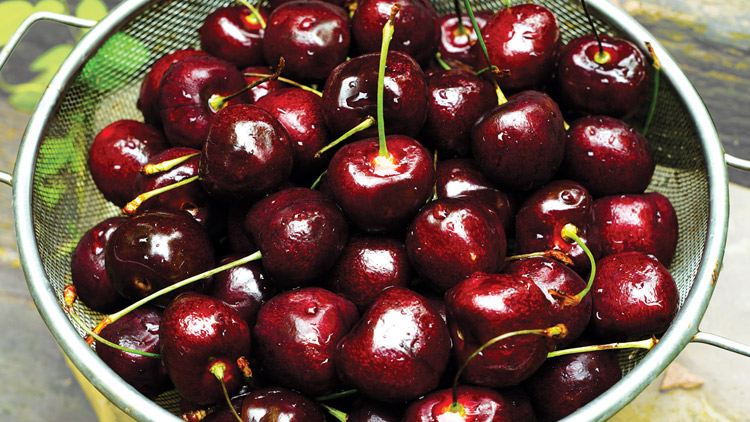Picture of Northwest Extra Large Red Cherries