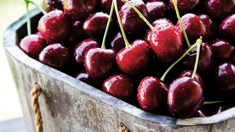 Picture of Dark Red Cherries