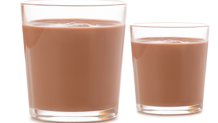 Picture of United Dairy Chocolate Milk