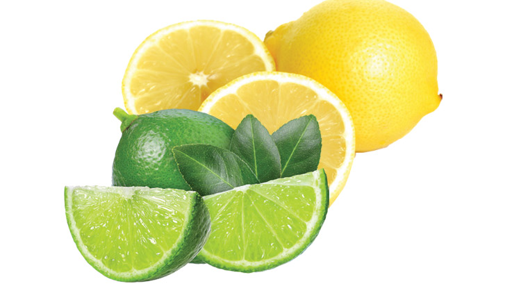 Picture of Zesty Limes or California Lemons