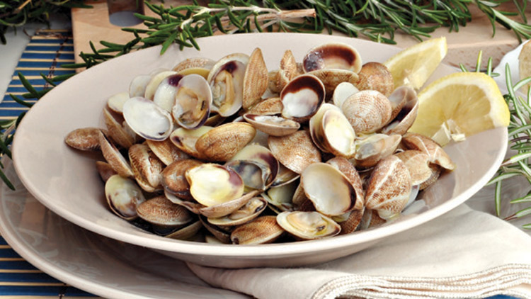 Picture of Newport Clams or Mussels