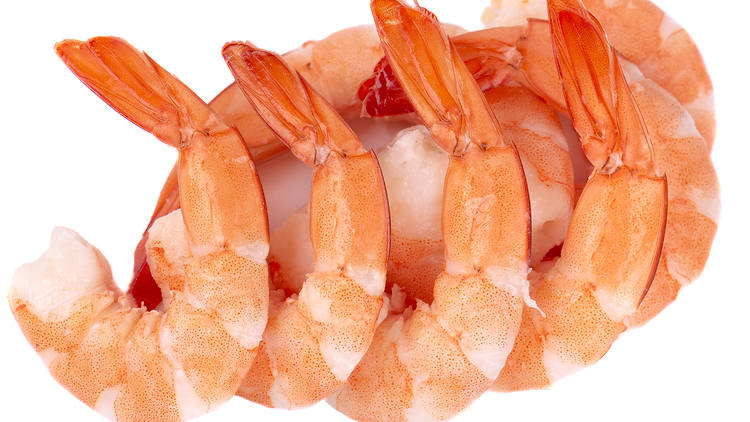 Picture of Censea Peeled & Deveined Cooked Shrimp