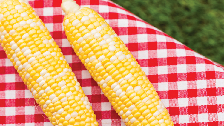 Picture of Florida Sweet Bi-Color Corn