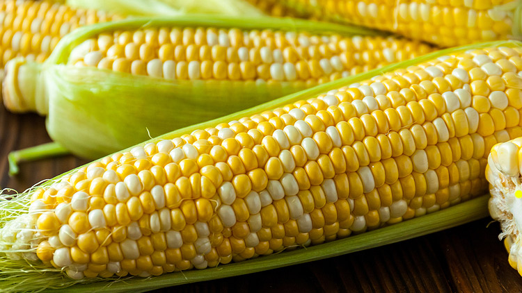 Picture of Bi-Color Sweet Corn