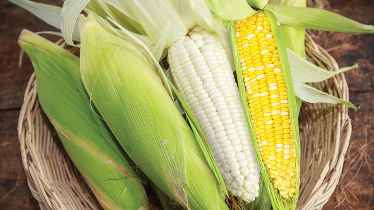 Picture of Untrimmed White or Bi-Color Corn On-the-Cob