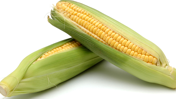 Picture of Sweet Corn