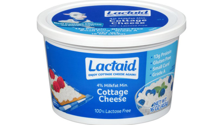 Picture of Lactaid Cottage Cheese