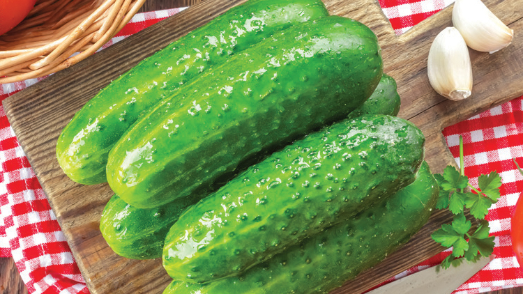 Picture of Pickling Cucumbers