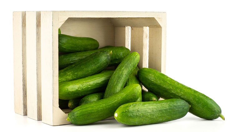 Picture of Super Select Cucumbers or Large Green Bell Peppers