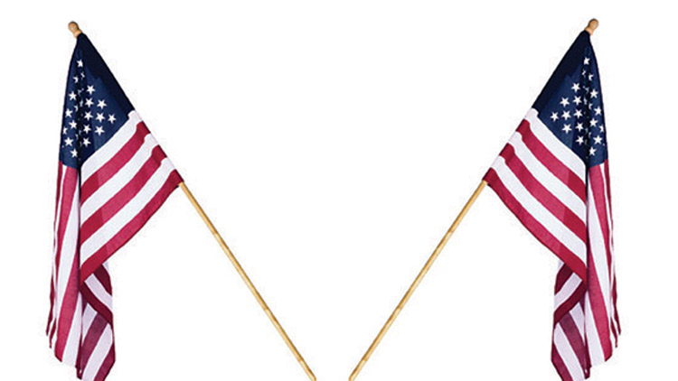 Picture of U.S. Flags